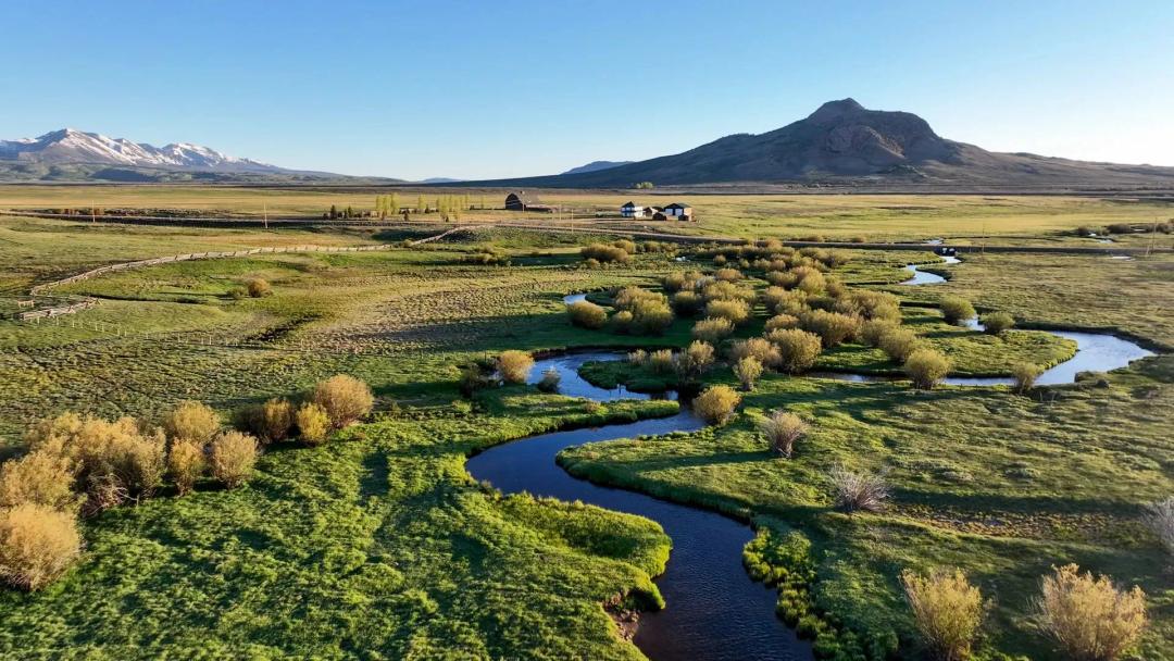 The Kuiper Ranch