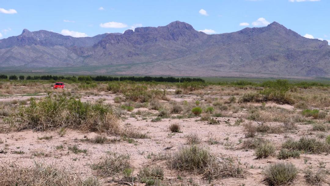 West side views of Florida Mountains * 1 full acre. 2 adjoining lots