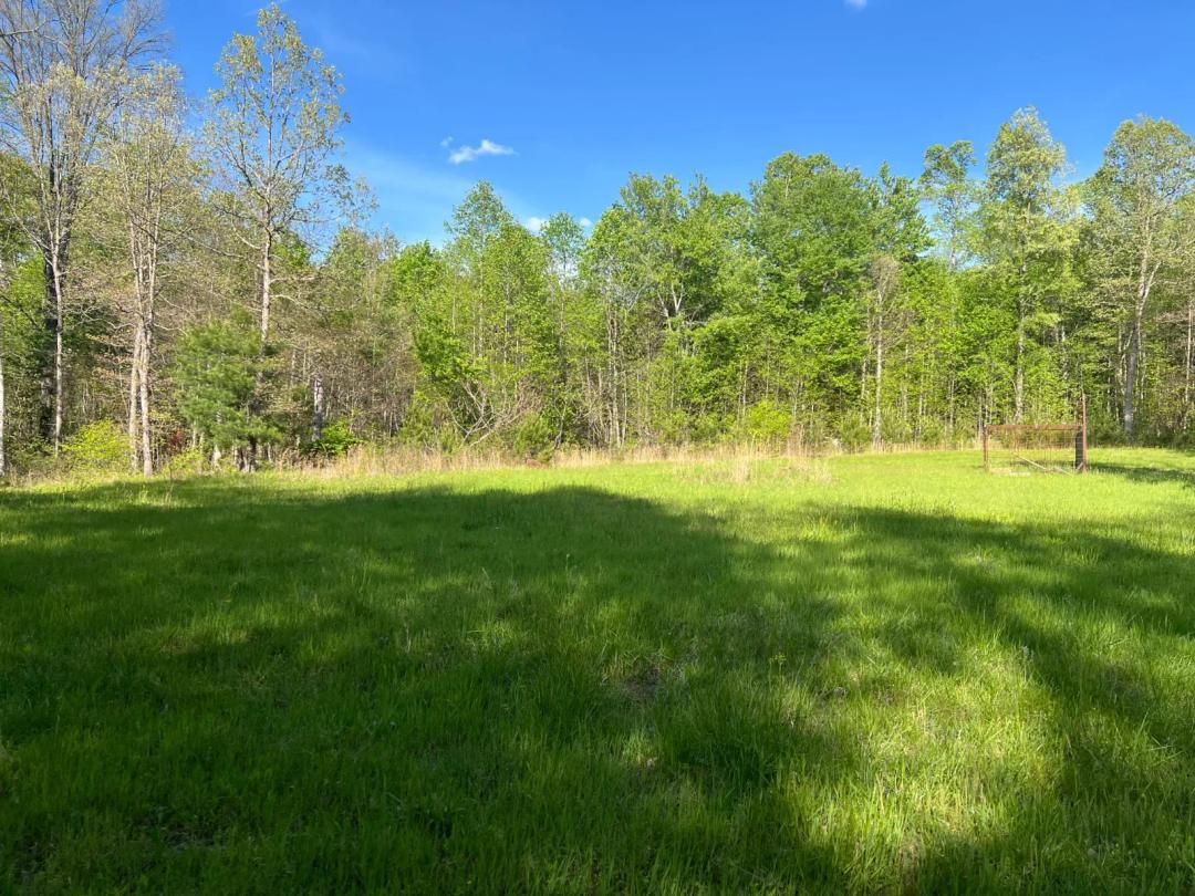 658 Acres- Bordering Catoosa WMA-Creek-Less Than 5 Miles to I-40