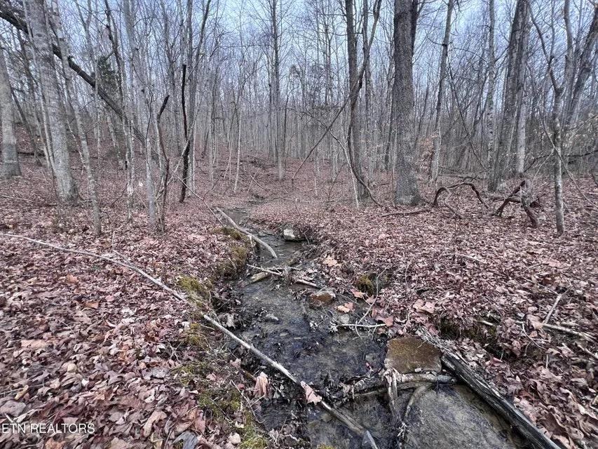 5.16 Acres at 0 Buffalo Cove Rd