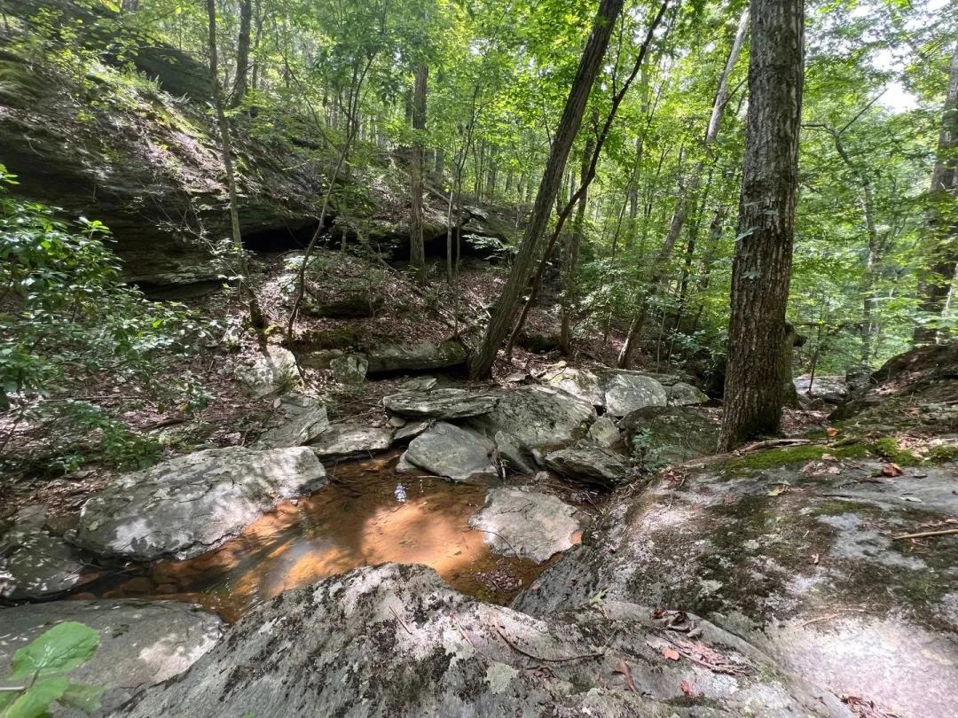 Vinson Mountain Tract