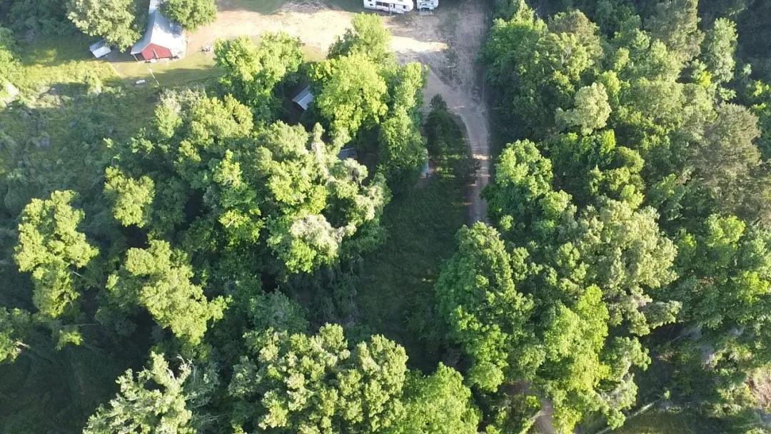 8 Acres with a Main Lodge and 3 Cabins in Claiborne County, MS