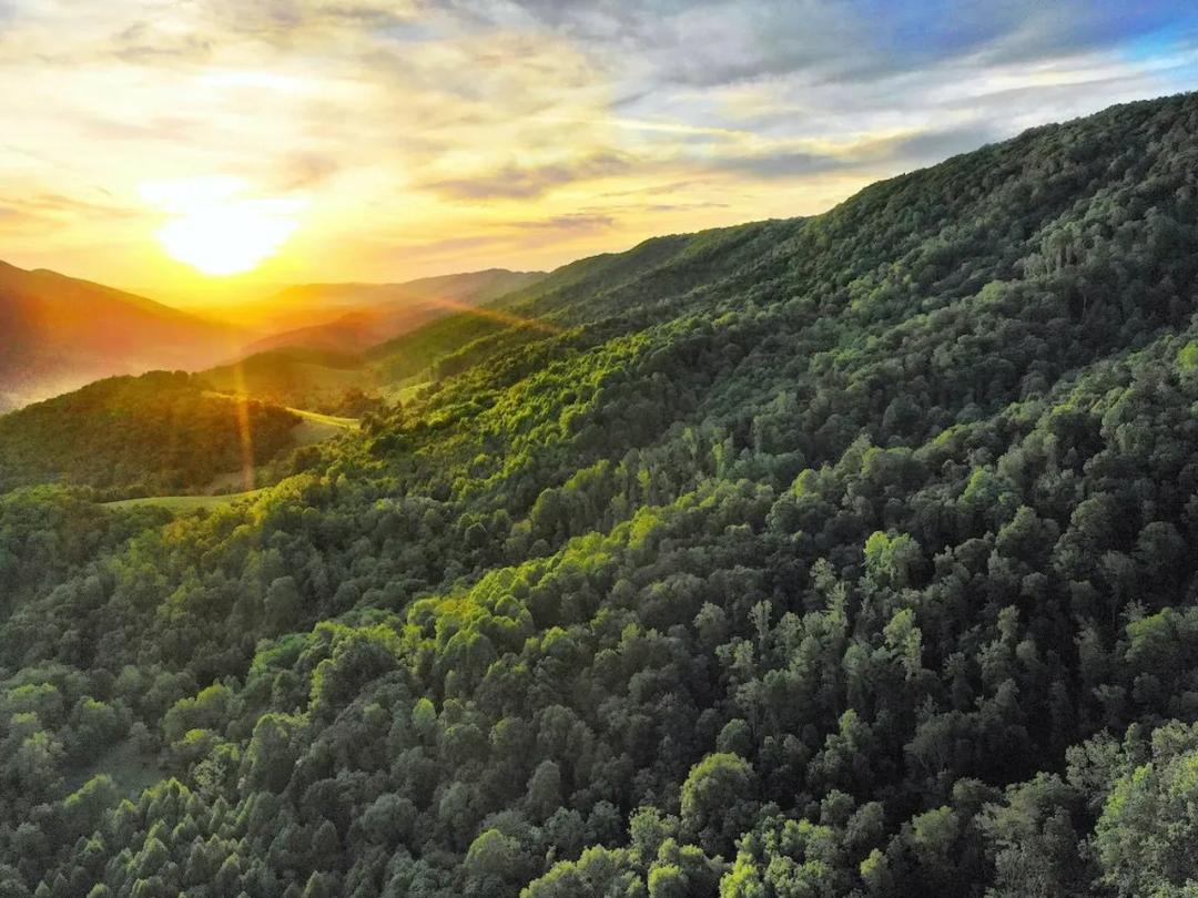 Wolf Creek Legacy Estate : 590 +/- Acre Creek Front Farm and Hunting Land with Mountain Views in Bland County, VA