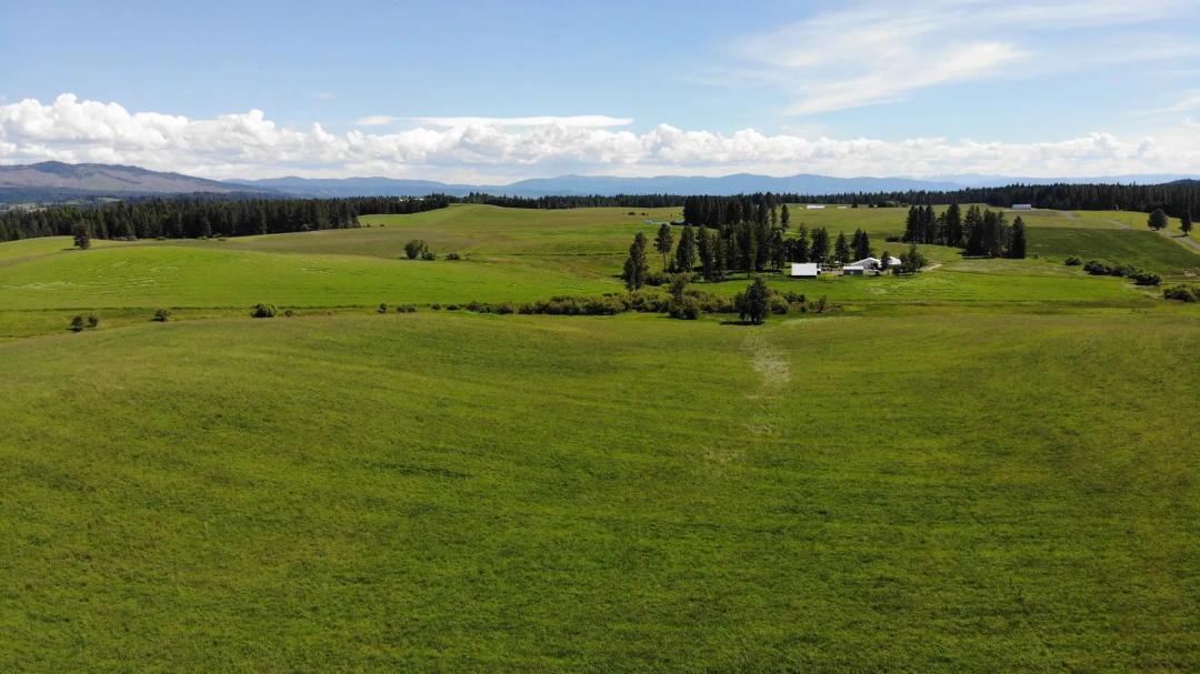 Kamiah Caribel Farm