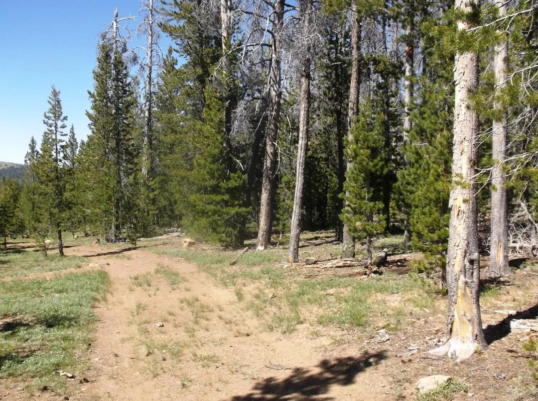 South Central Oregon Mountain Lakes Area Property - Great for Camping