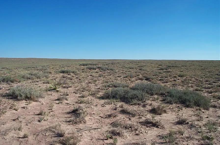 Camp * RV * Build in the Arizona desert. Near Petrified Forest and Painted Desert