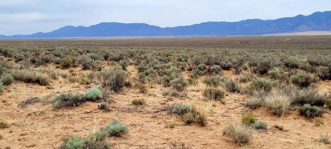 Affordable 1/2 acre - Mobiles Modulars Site builds allowed - Belen New Mexico area