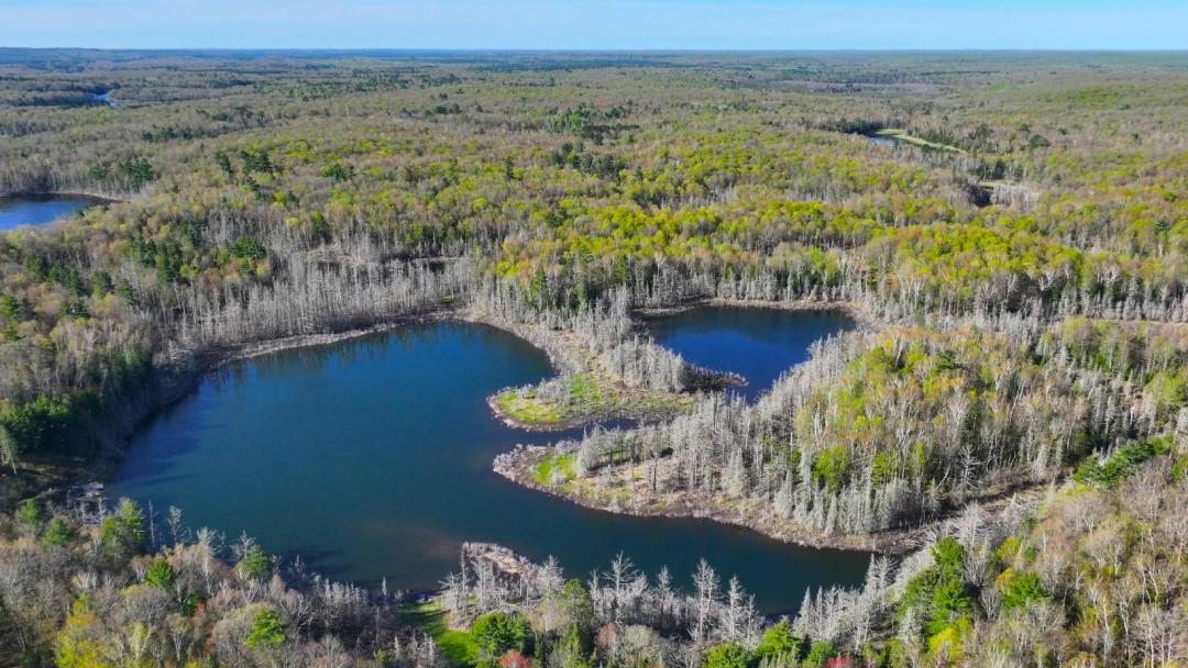 Northwoods Hunting Land with Lakes and Rolling Terrain