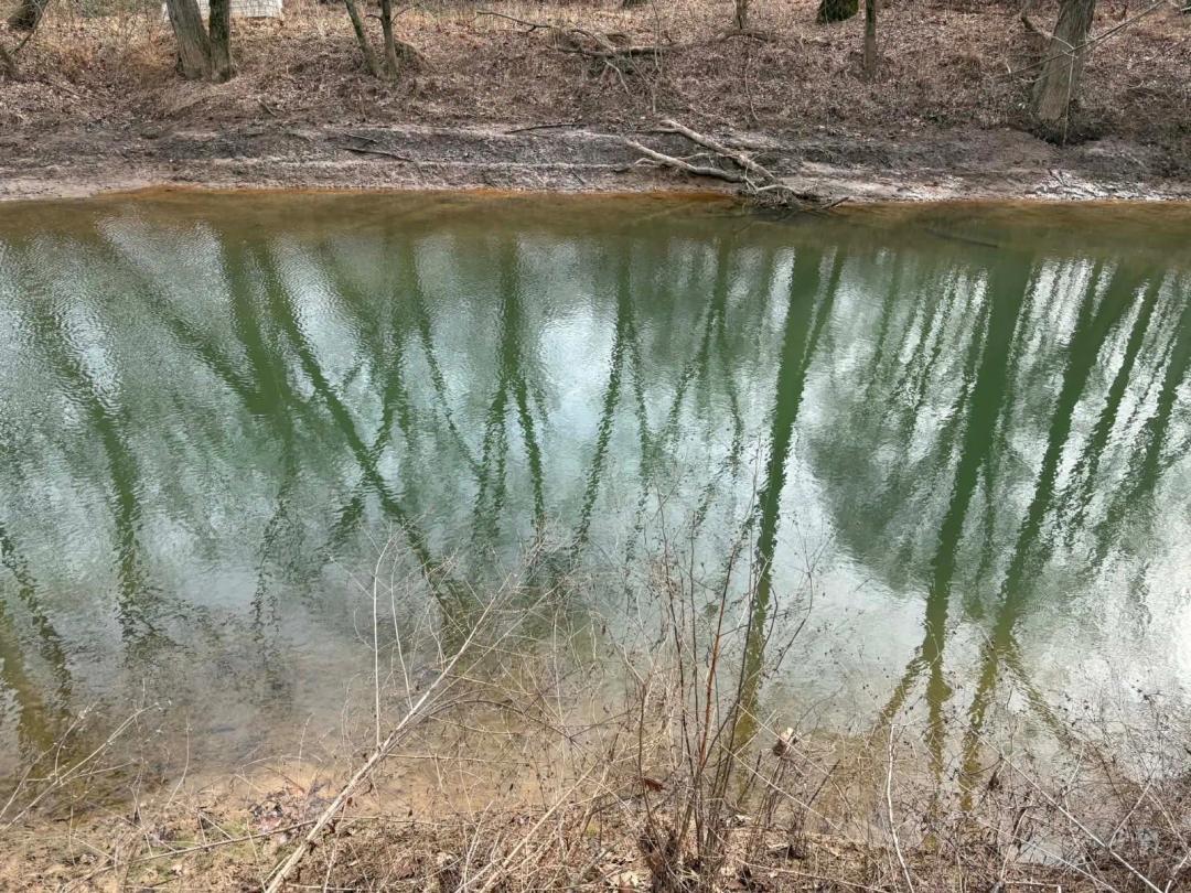 SCENIC WOODLAND AND PATOKA RIVER FRONTAGE