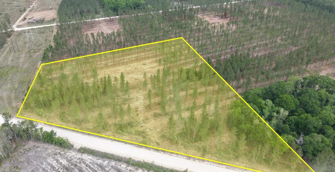 5.85 Acres at 0 Buck Swamp Road