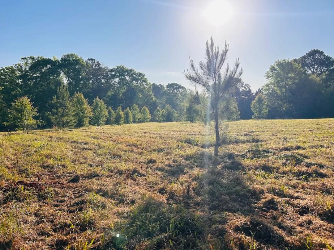 15.00 Acres at 0 Collier Road Tract 1