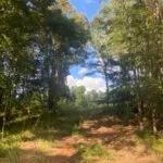 6.1 Acre Residential Lot in Lafayette County, MS