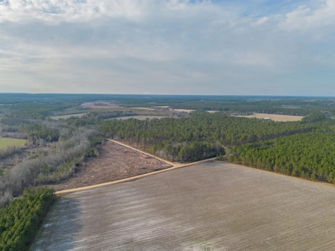 Premier Recreational & Timber Investment