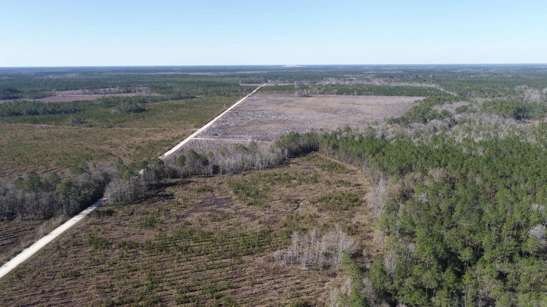 202.30 Acres at 1554 Flowers Break Road