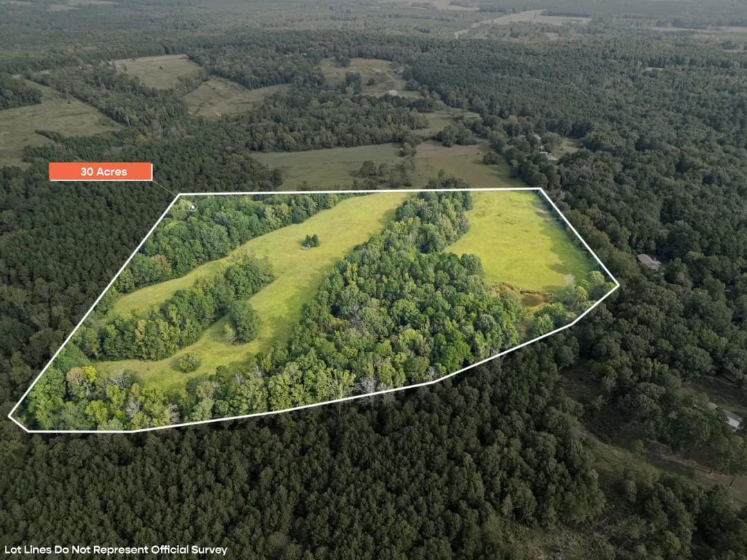 30 Acres | Pond, Pasture, Woods, & Wildlife | +10 Acres Avail