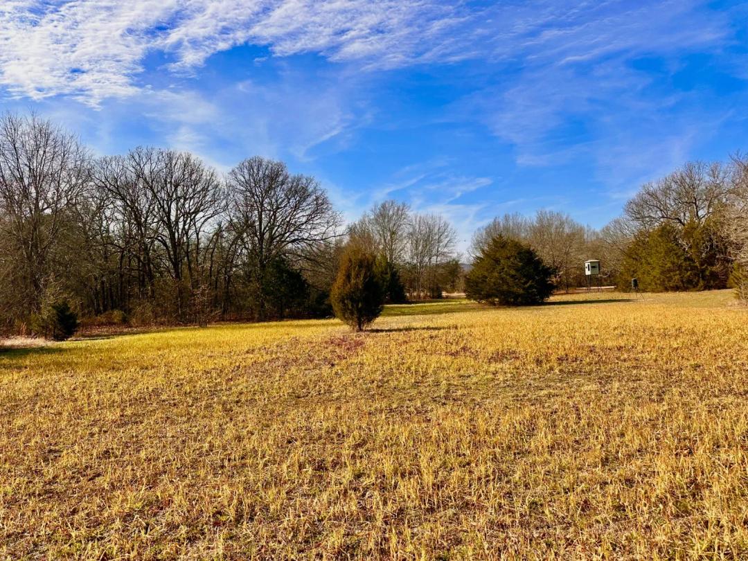 EXCEPTIONAL 80 +\- ACRES OF HUNTING & RECREATION PROPERTY