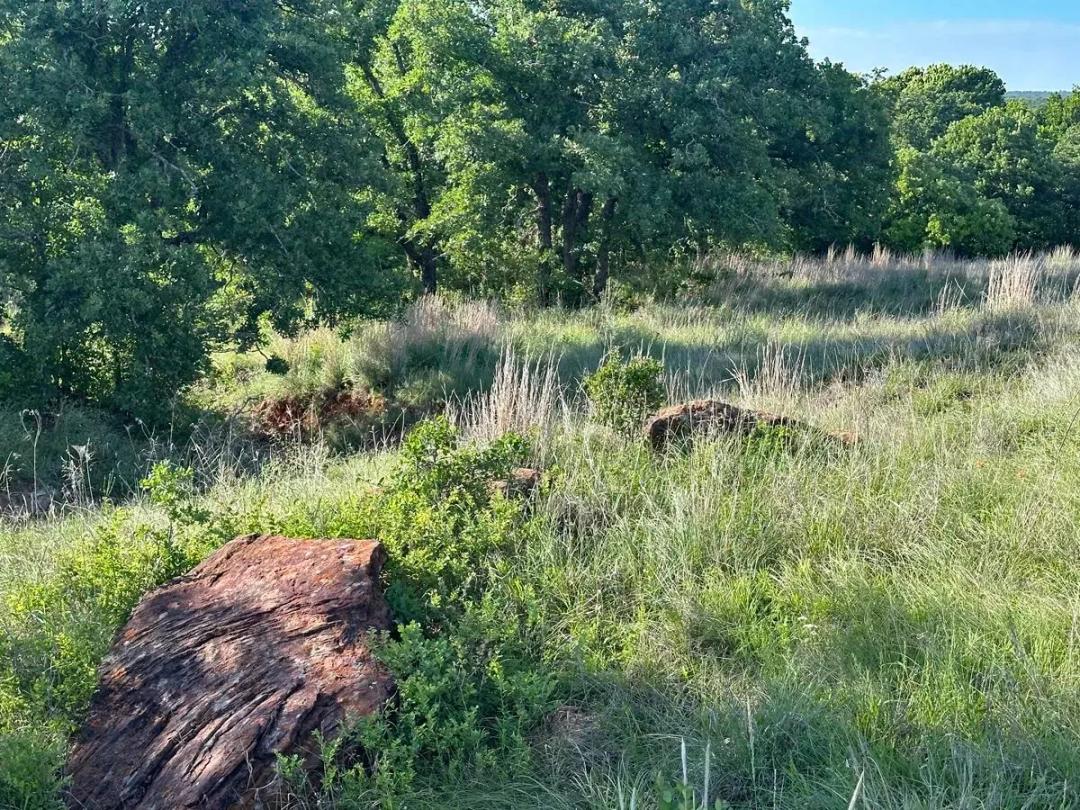 21 ± Acres for Sale, Hunting and Recreation Ranch, Loco, Oklahoma, Stephens County.
