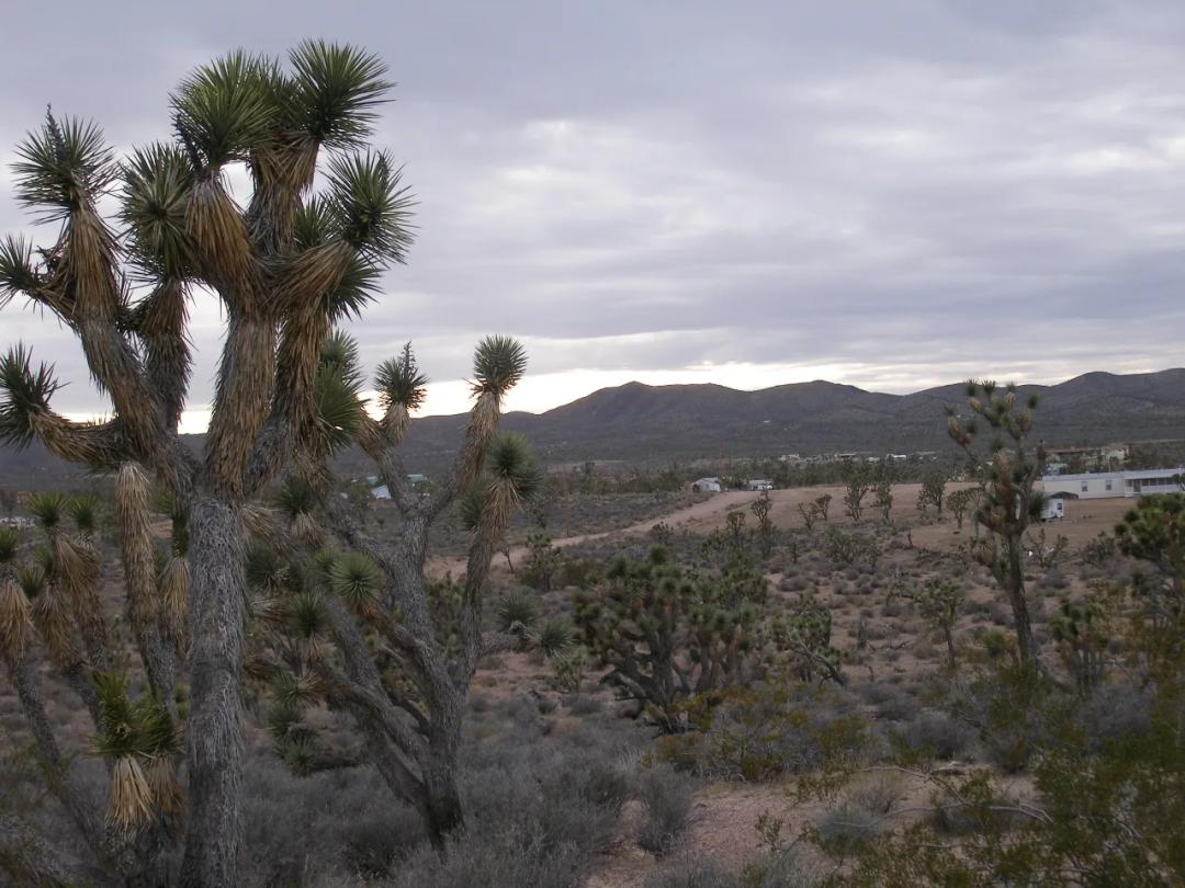 Lake Mead City - Near Colorado River And Grand Canyon
