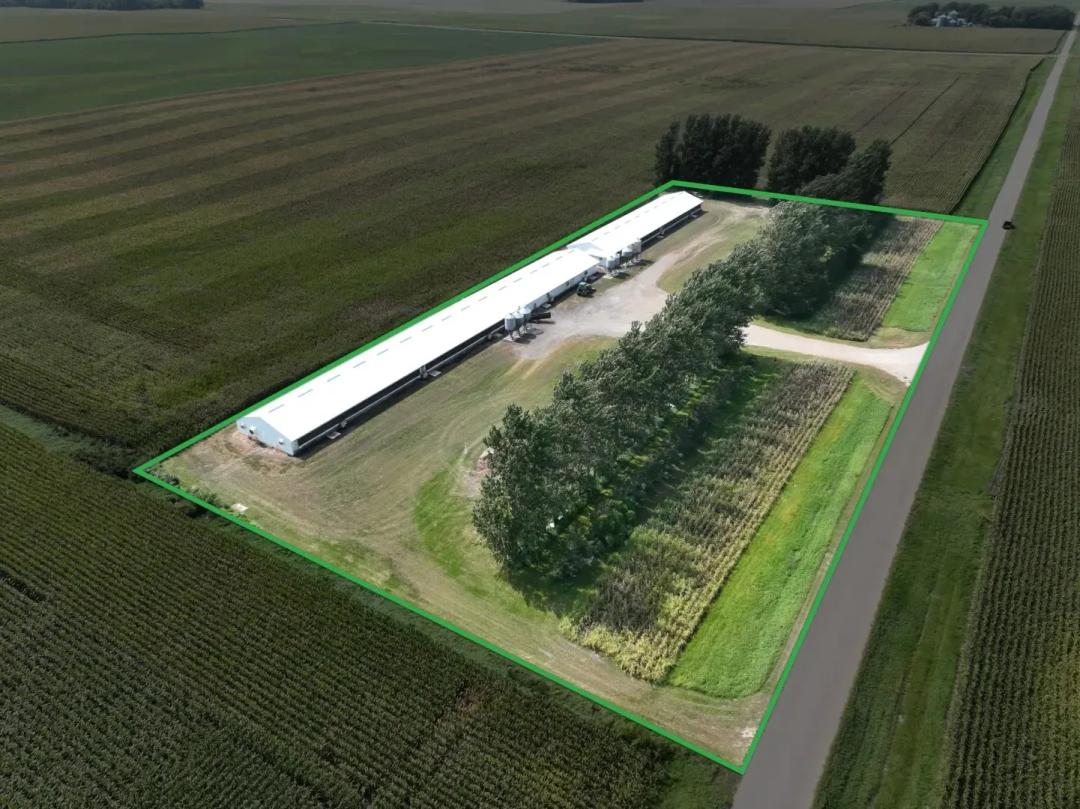 5.59± Acre Farm Sale Faribault County, MN