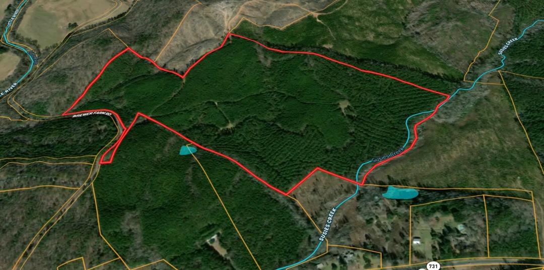 130 +/- Ac. Mature Timberland Tract Fronting Brewer Farm Rd