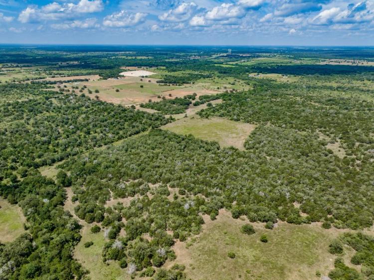 29 acres - Armstrong Derry Rd (Tract 13) in Flationa