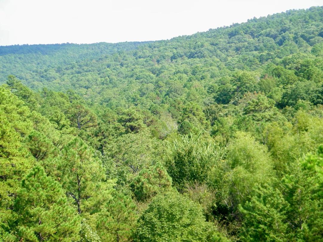 50 Acres Mountain Land for Hunting Red Oak, OK