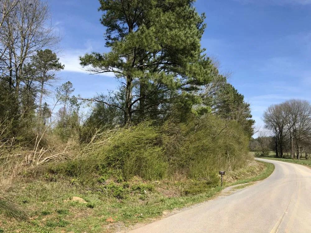 Cedartown Farms - 3.10 Acres