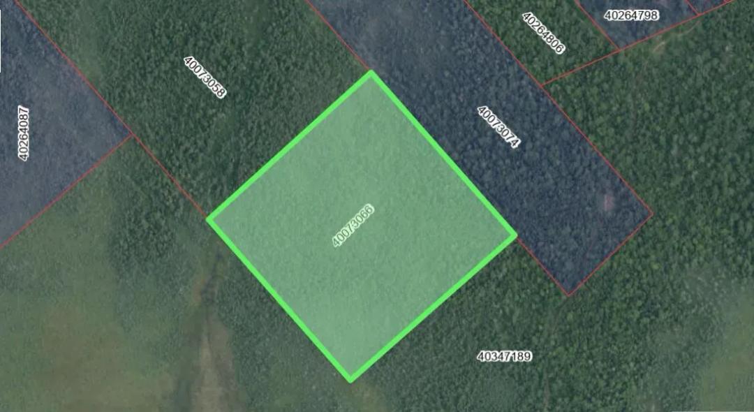 13.54 Acres for Sale - Woodlot