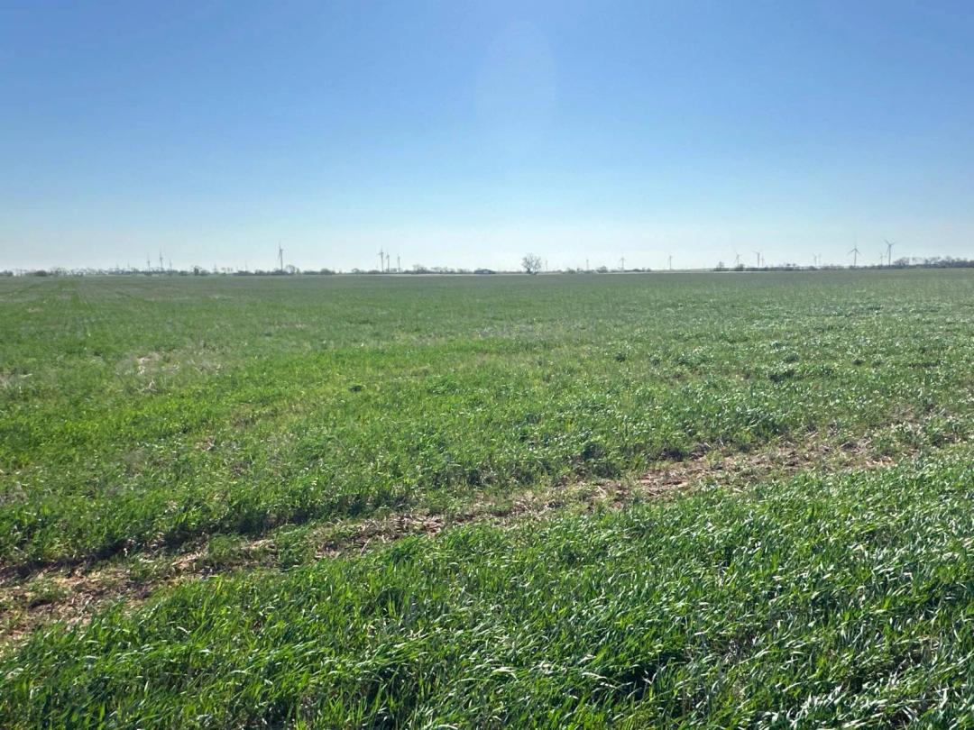 440± Acres of Farmland and Grassland & Improvements