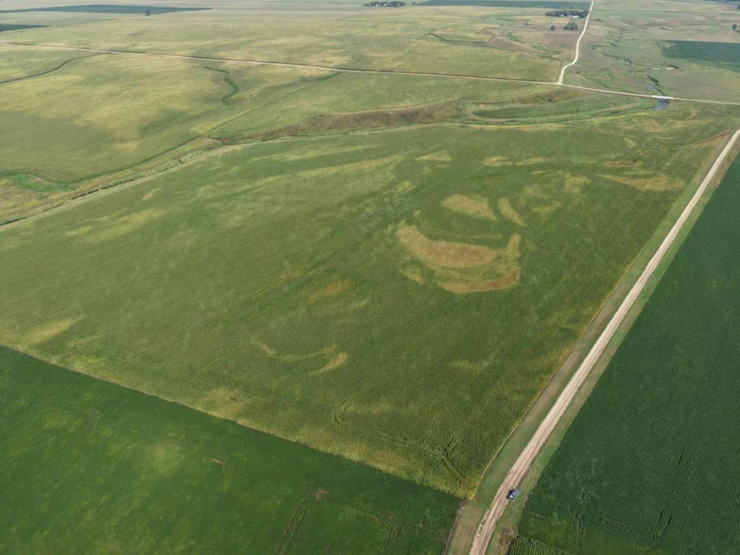 October 27, 2026 @10:30 A.M.--Live Public Land Auction