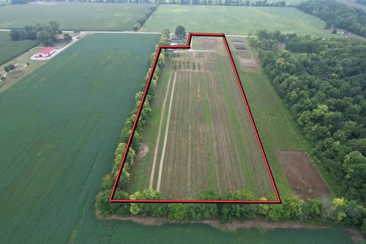 9.56 Acre Tree Farm with Road Frontage in Madison County, IN