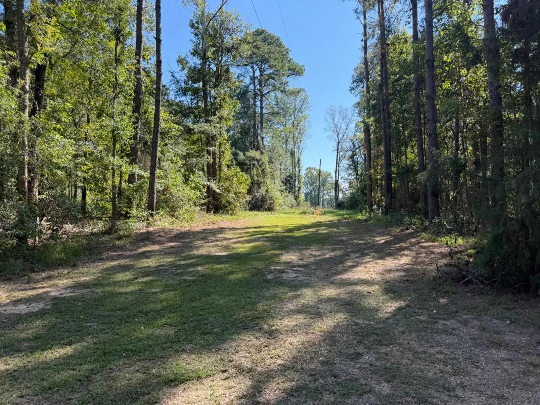 A Home on 2.3 in Acres Wesson County, MS