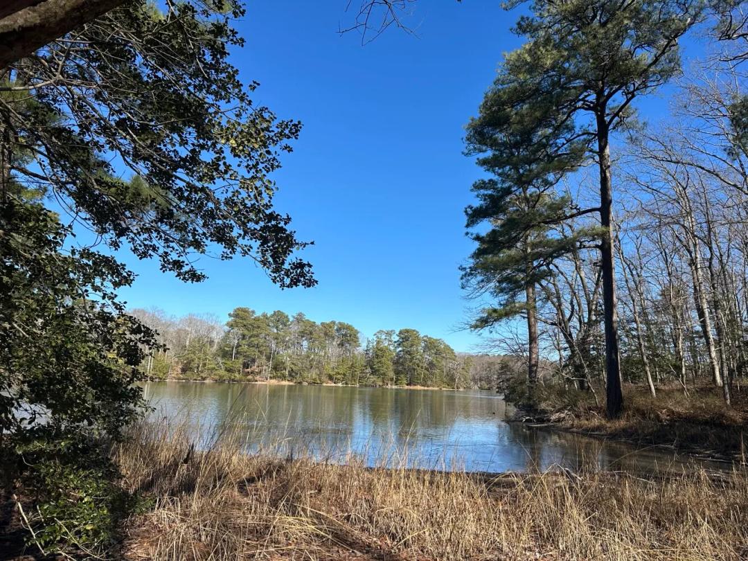 17.00 Acres at 00 Taylors Beach Rd