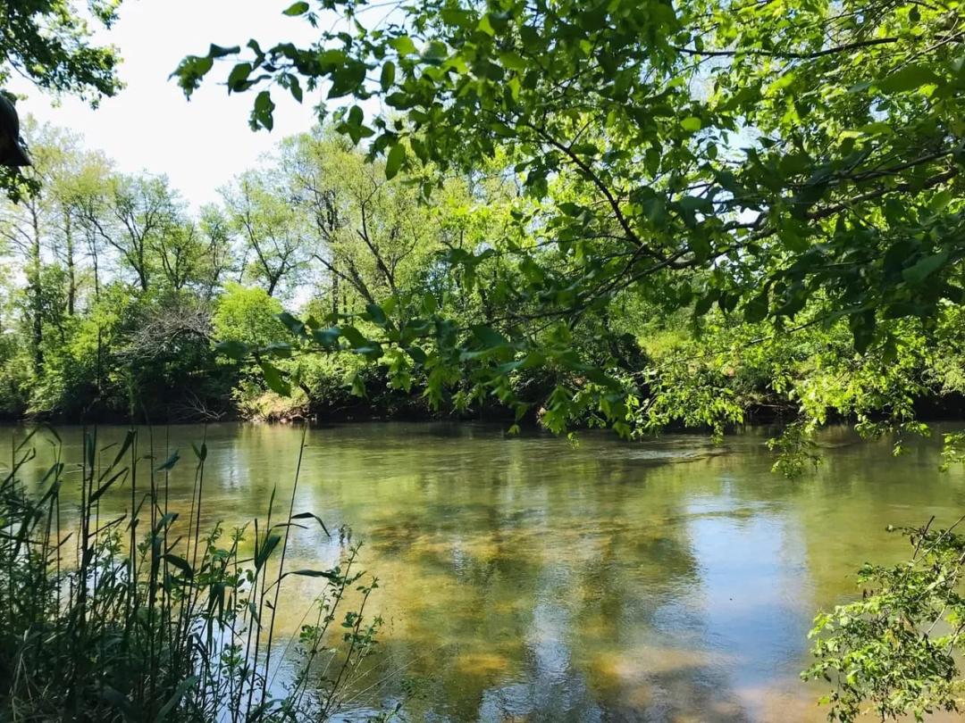 Rare Rivanna River Waterfront Property Near Charlottesville