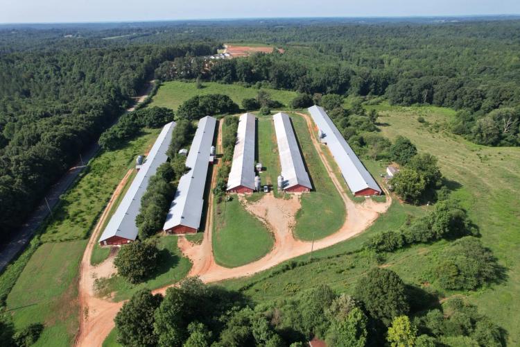 NEW PRICE! Red Hollow Broiler Farm