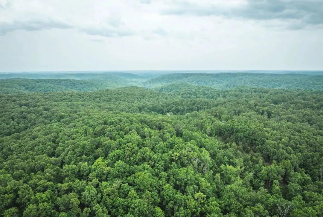 Pine Hollow Sportsmen's Retreat Tract 2