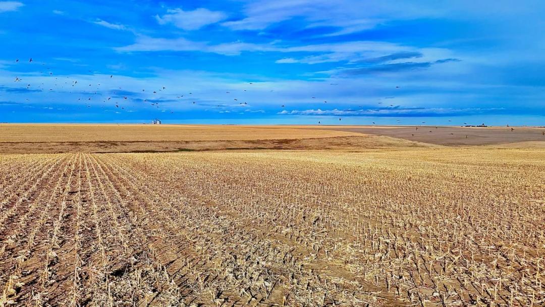 Goodland, KS 160