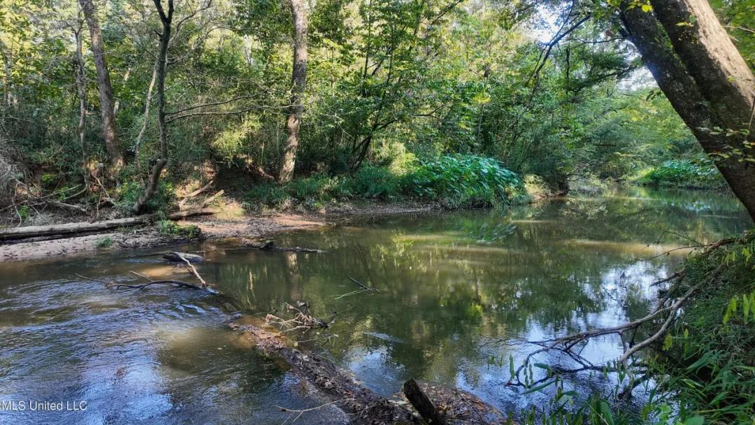 30 Acre Amite River Hunting Tract Amite County MS