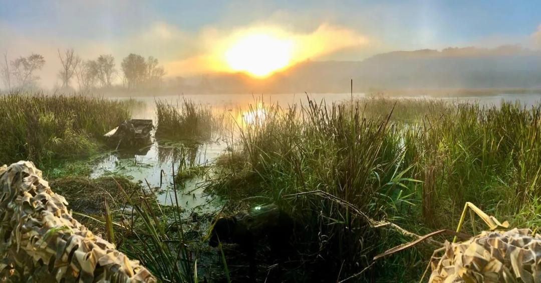 Proven Waterfowl Hotspot Near the Mississippi Flyway