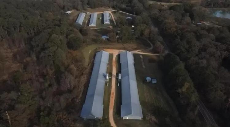 36 Acres With 5 Broiler Houses (Chicken Farm) in Smith County in Morton, MS