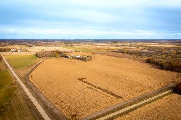 Live, Farm, Hunt! 43774 Otter Tail Line Rd, Bertha, MN (Todd Co.)