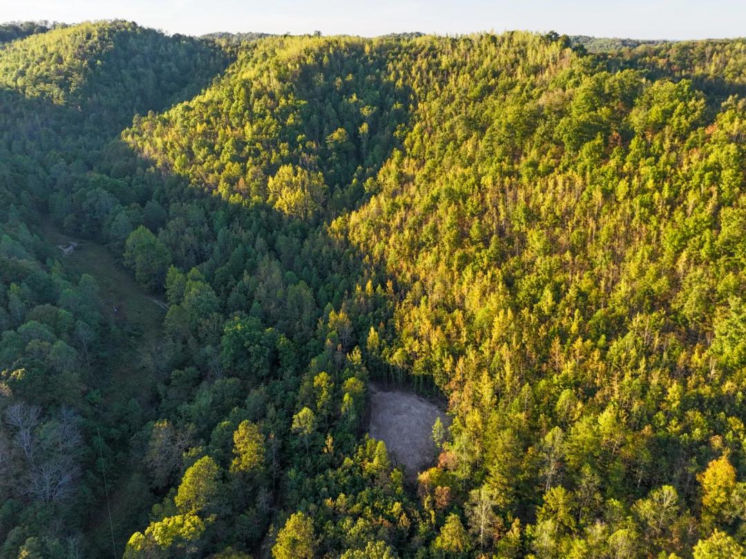 Shepard Fork Road Hunting/Build Farm