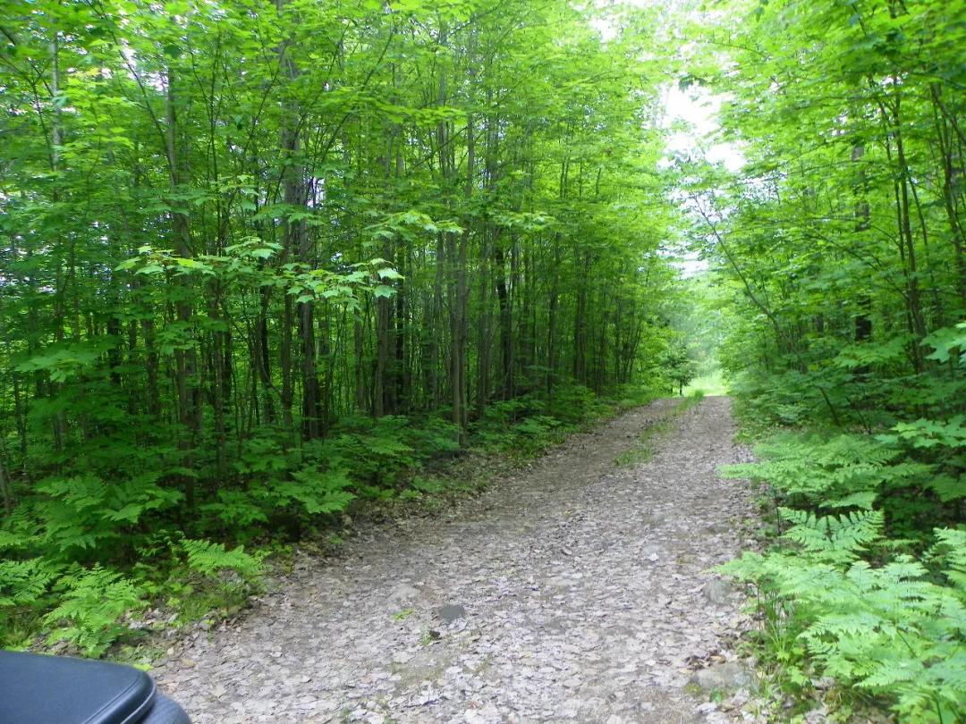 File 19ES 50 Acres of Hunting Land in the Muskoka’s north of Bala, Ontario $420,000 Cdn