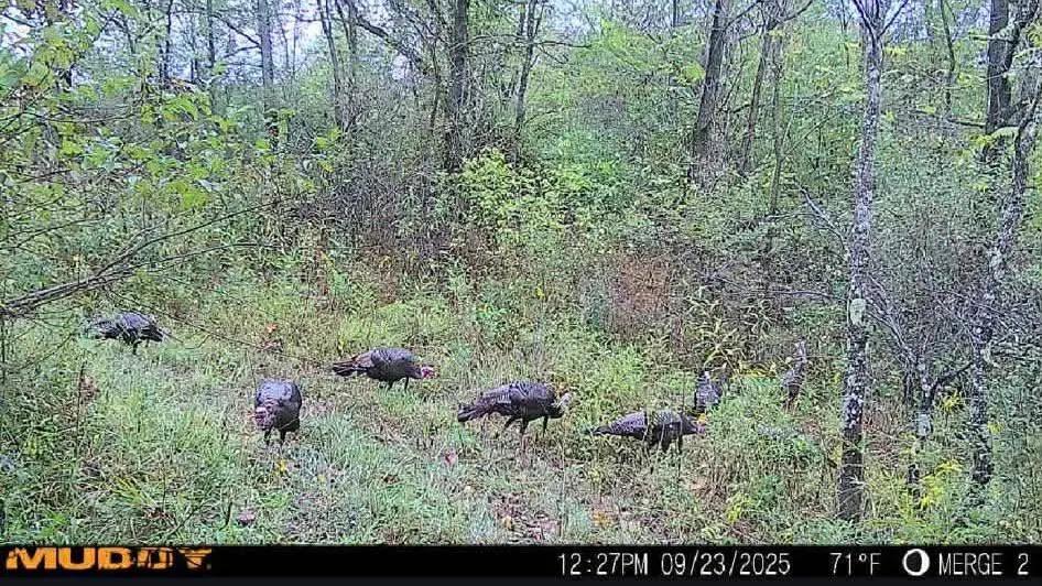 Scioto County Ohio Land for Sale