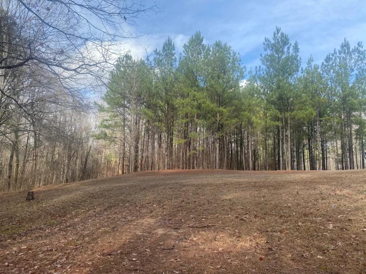 4 Acre Residential Lot in Rankin County, MS