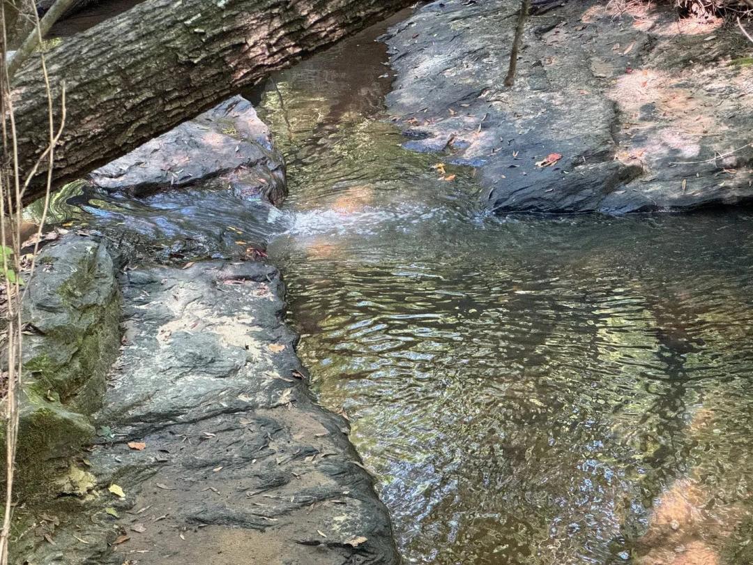 70 +/- Ac, Managed Pine Plantation, with Flowing Creek, Camp Hill, AL