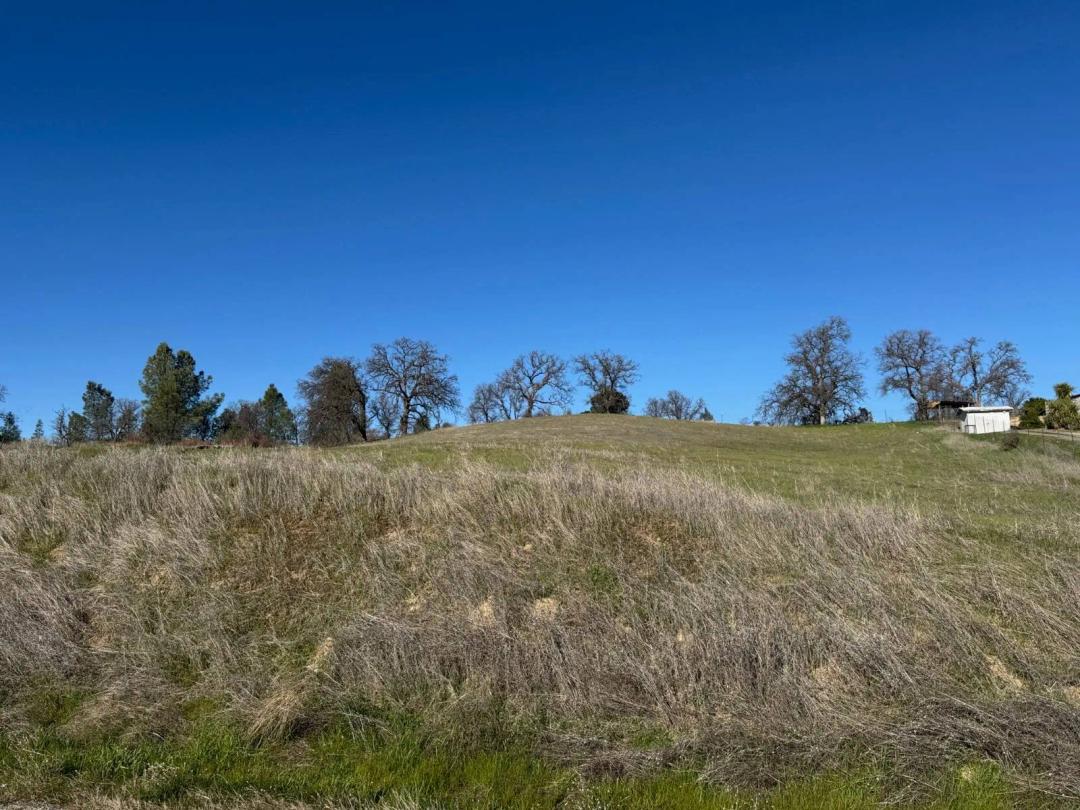 0.99 Acres at 17220 Hillcrest Road
