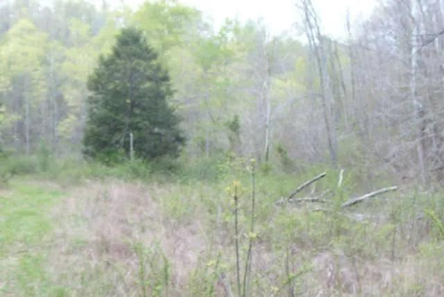 18.65 AC IN THE HILLS OF KY – UNDEVELOPED – CAVE - CREEK – WAY IN THE COUNTRY