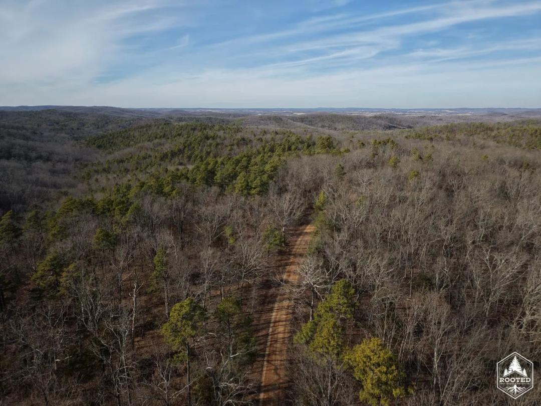 Tract 3 Bidwell Creek Road, Womack, MO-Ste. Genevieve Co.