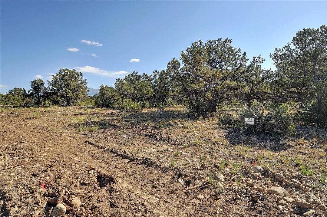 28922 Timber Ridge